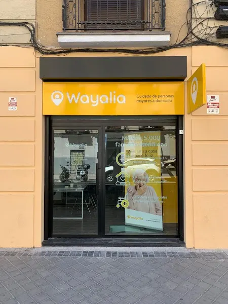 Wayalia | Cuidado de personas mayores en Madrid - Chamberí - Atención a personas mayores en Madrid - foto 2