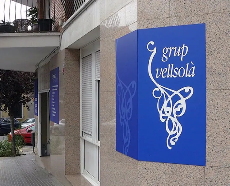 Residència Geriàtrica Vellsolà S.L.