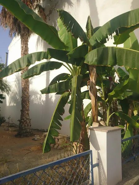 Residencia Virgen del Mar