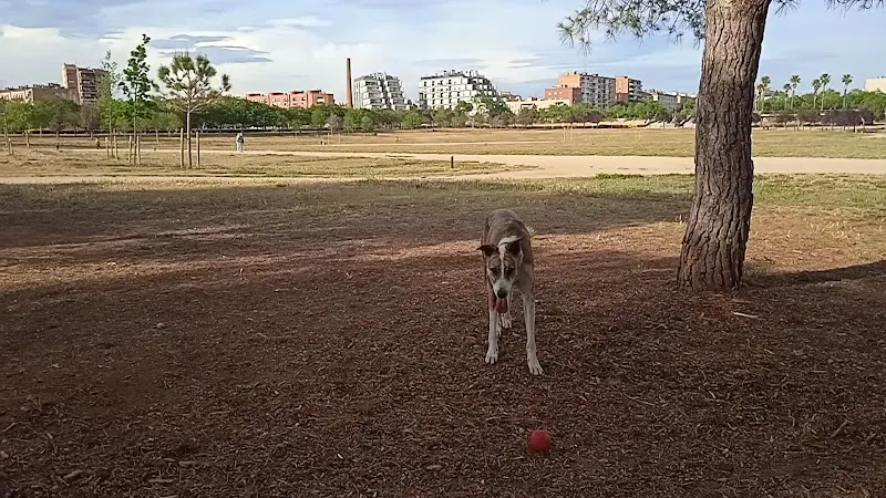 Residència El Parc - Grup Gran Vida - Residencia de ancianos en Sabadell - foto 4