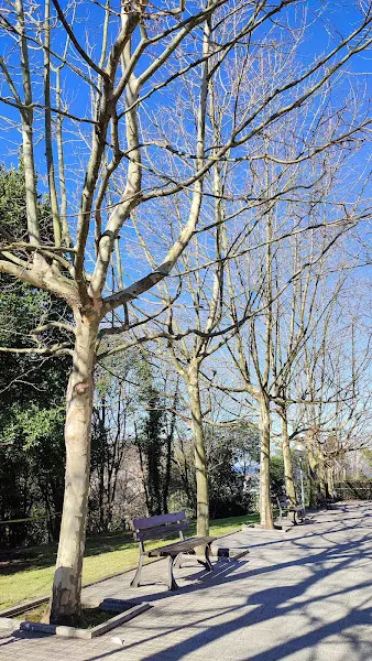 Centro residencial Aldakonea - Biharko Gipuzkoa - Donostia-San Sebastian