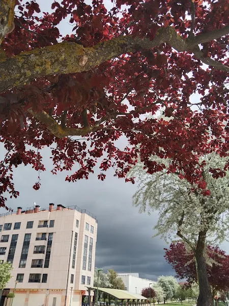Servicios Residenciales Bellavista Care Sl - Burgos