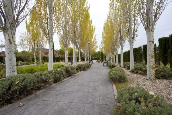 Residencia Bouco Punta Galea - Residencia de ancianos en Las Rozas - foto 3