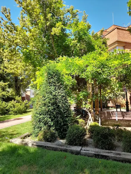 Residencia Los Olmos - Guadalajara