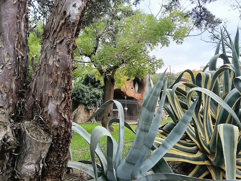 Fundacio Alba-hospital De Sant Miquel