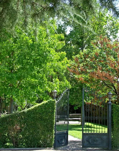 Residencia Alba - Talavera de la Reina