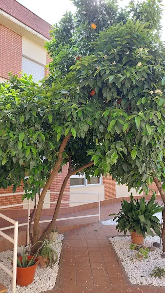Residencia de mayores Acalia en Ciudad Real