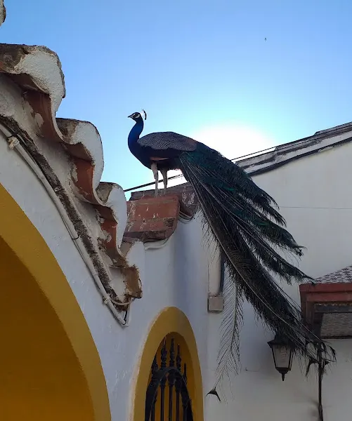 Residencia Juan González - Málaga