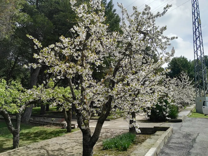 Residencia de ancianos Misioneras de Nuestra Señora del Pilar