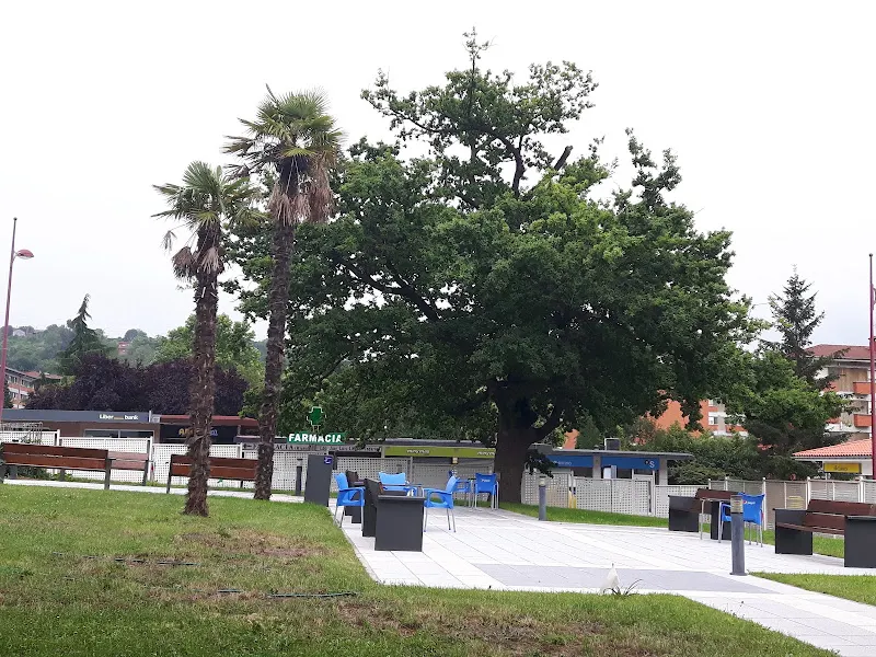 Centro Polivalente de Recursos de Riañu - Residencia de ancianos en Langreo - foto 2