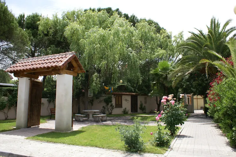 Centro San Camilo - Residencia Asistida San Camilo - Tres Cantos