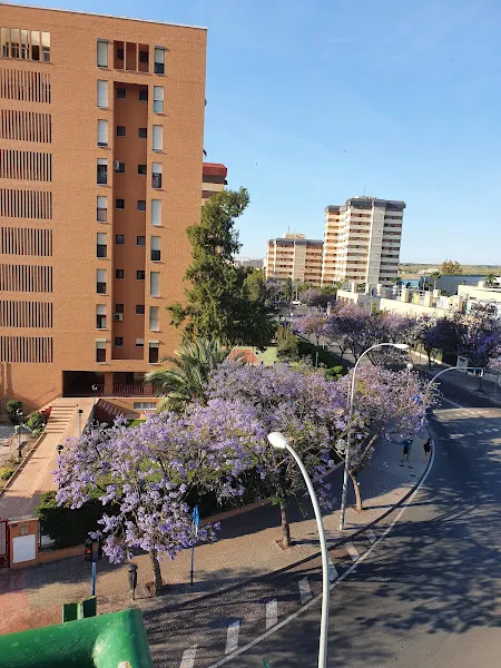Residencia Personas Mayores La Florida - Alicante