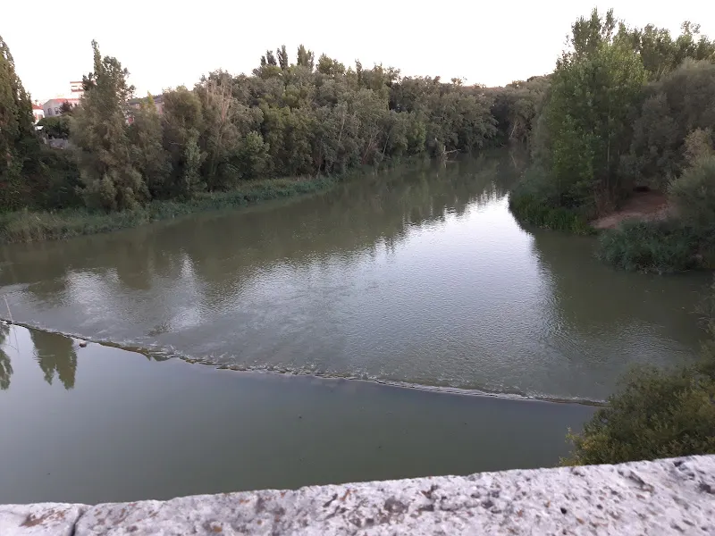 Residencia el Mirador del Duero - Tudela de Duero