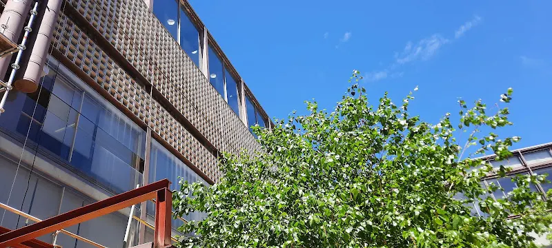 Centro Municipal de Mayores Benito Martín Lozano