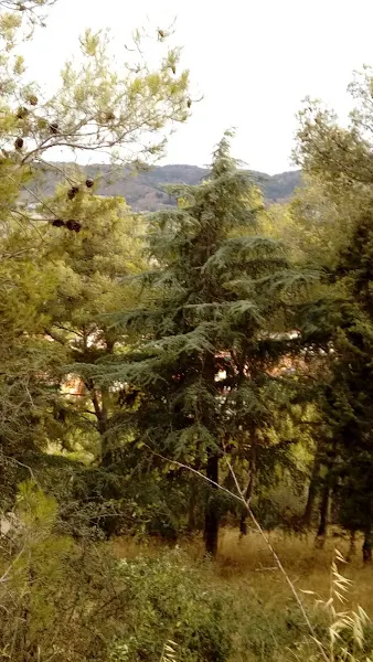 Guinardó Residencia