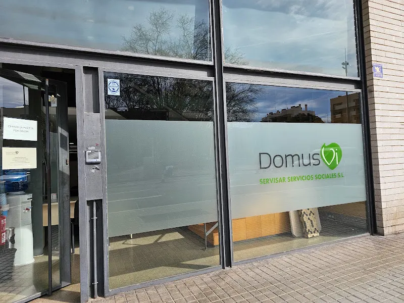 Domus Vi