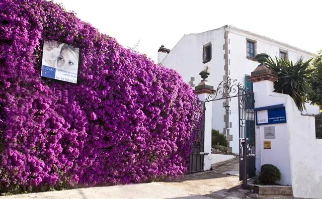 Residència geriàtrica i Centre de dia Loval - Residencia de ancianos en Sant Andreu de Llavaneres - foto 2