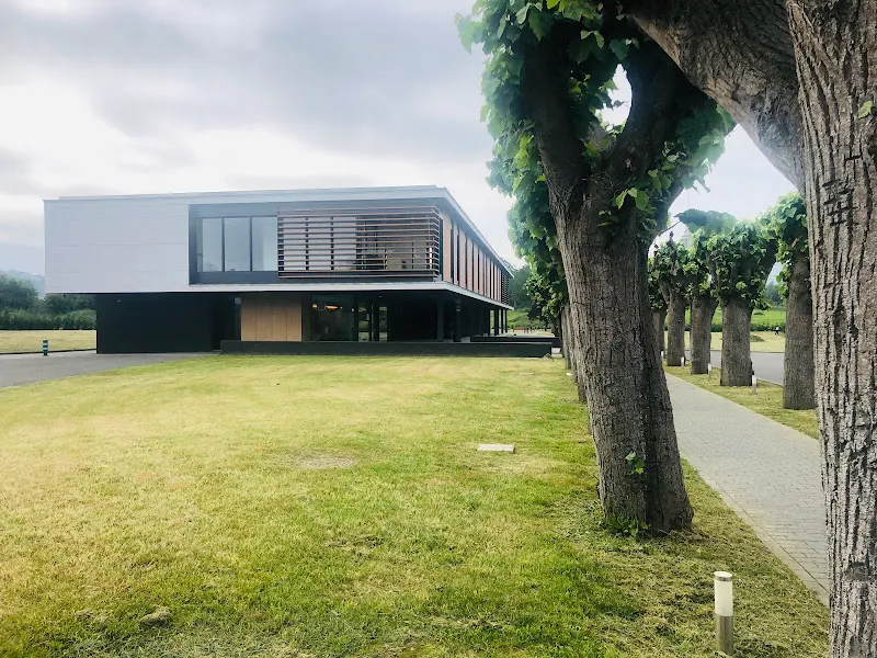 Fundación La Golondrina - Residencia de ancianos en Gijón - foto 2
