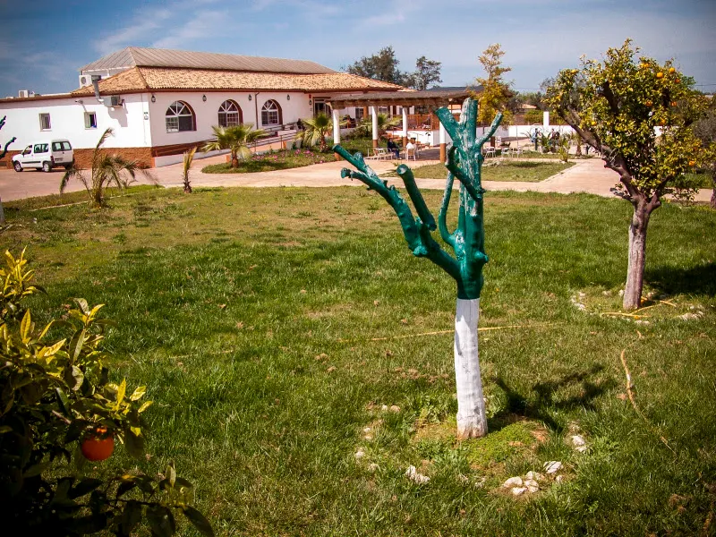 HOGAR DE MAYORES EL PILAR - Residencia de ancianos en Sevilla - foto 2