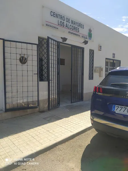 Asociación Tercera Edad Los Alcores - Residencia de ancianos en El Ejido - foto 2