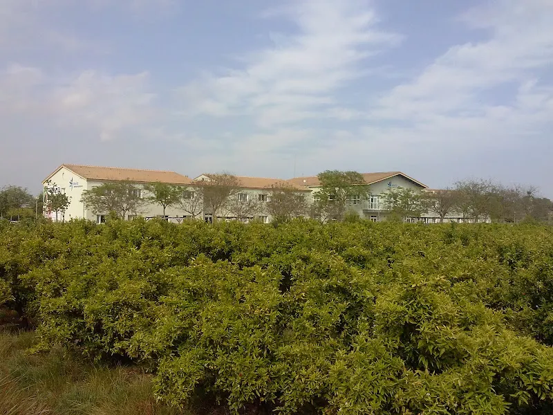 Centro Residencial SAVIA El Puig