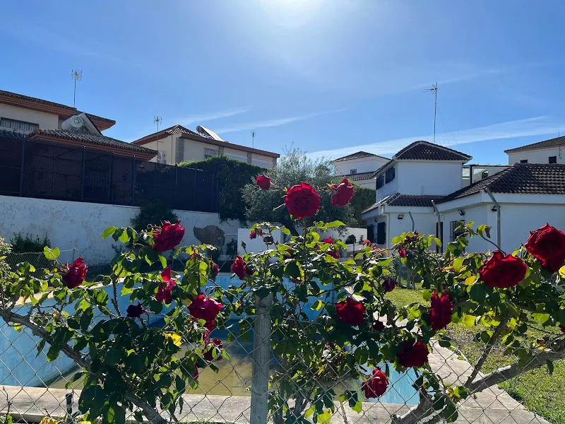 Residencia de ancianos Esperanza Macarena Sevilla - Mairena del Aljarafe