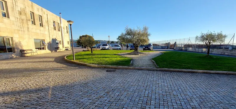 Los Olivos - Ourense